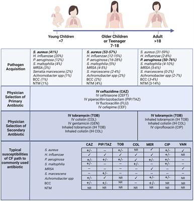 Pulmonary bacteriophage and cystic fibrosis airway mucus: friends or foes?